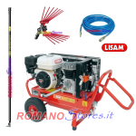 KIT RACCOLTA OLIVE LISAM ALL INCLUSIVE GP160+1 ASTA FISSA CL150+PETTINE V8