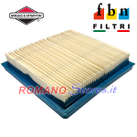 FILTRO ARIA FBN PER BRIGGS & STRATTON QUANTUM 35 4 HP 399877